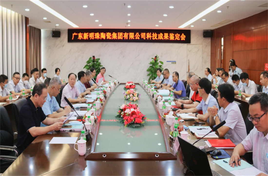 一项“国际领先”，两项“国际先进”！新明珠3项科技成果成功通过审议